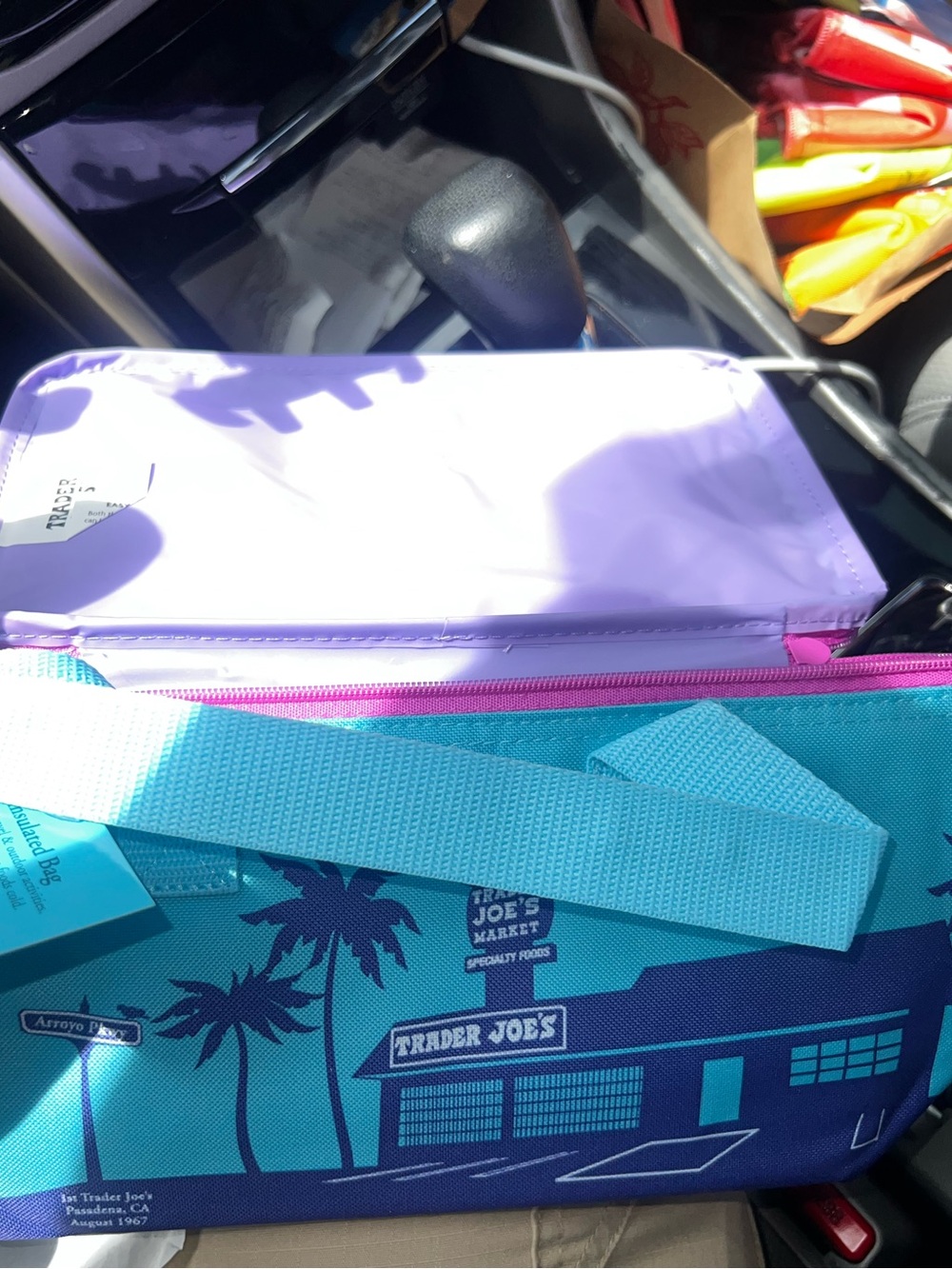 Trader Joe's Teal and Purple Insulated Tote